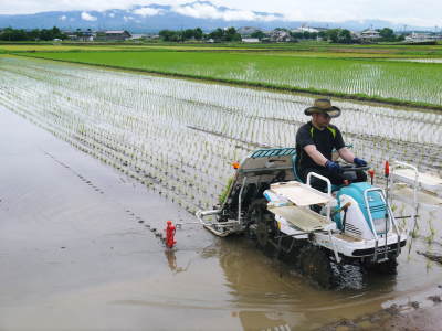 砂田のこだわりれんげ米 田植えの様子(2019)後編 野中兄弟だけの初めての田植え無事終了!_a0254656_17304847.jpg