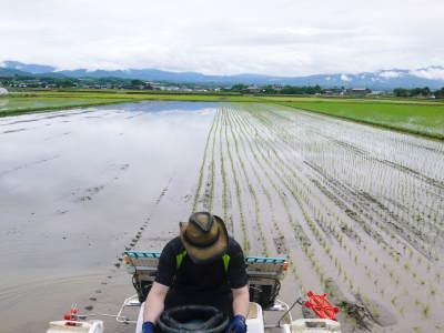 砂田のこだわりれんげ米 田植えの様子(2019)後編 野中兄弟だけの初めての田植え無事終了!_a0254656_17324801.jpg