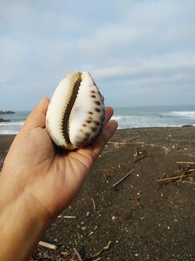 c0172261_11330240.jpg