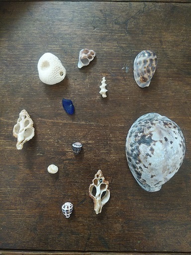 c0172261_11333287.jpg