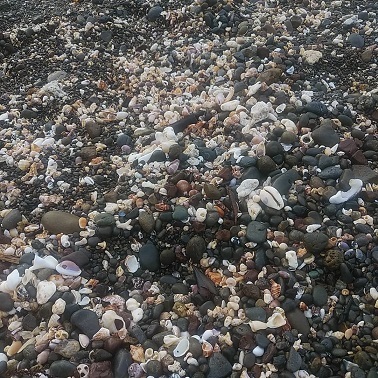 c0172261_11375115.jpg