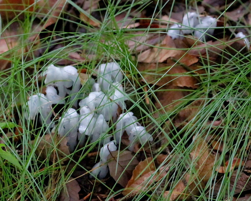c0305565_17403880.jpg