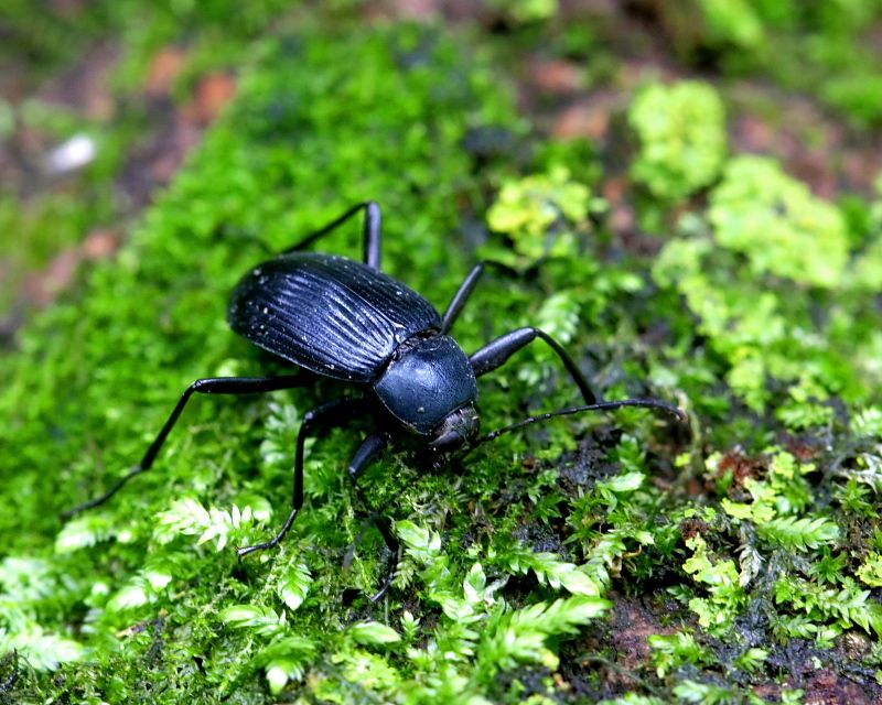 c0305565_17410933.jpg