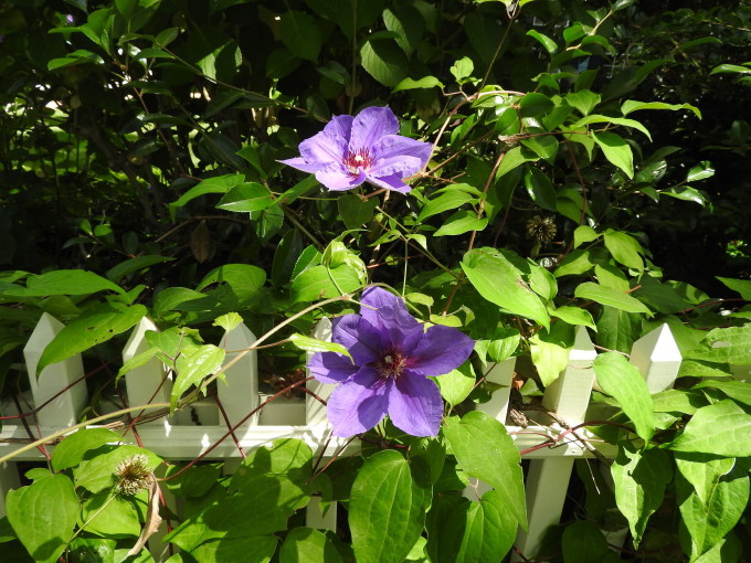 c0115366_21330501.jpg