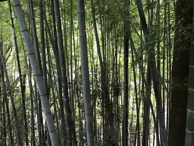 c0186969_14202021.jpg