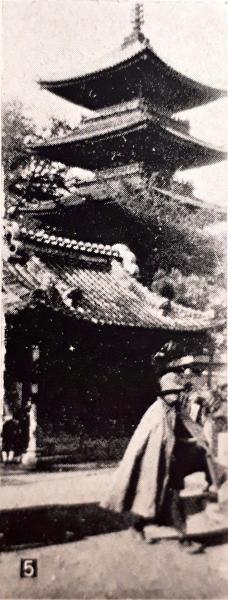 【現地確認】江戸神仏願懸重宝記(文化11年)2019/21【江戸の流行神を令和に訪ねる】_b0116271_23510105.jpg
