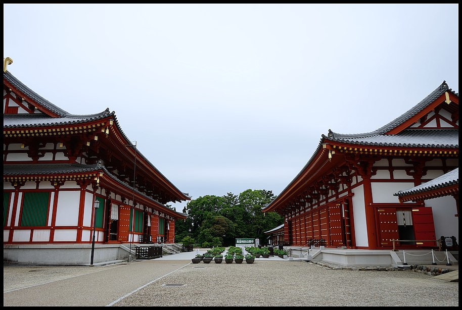 b0340572_20240643.jpg
