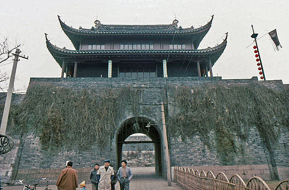 e0116578_925477.jpg