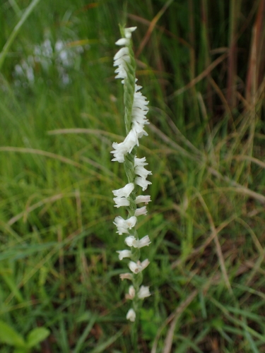 f0348480_18464244.jpg