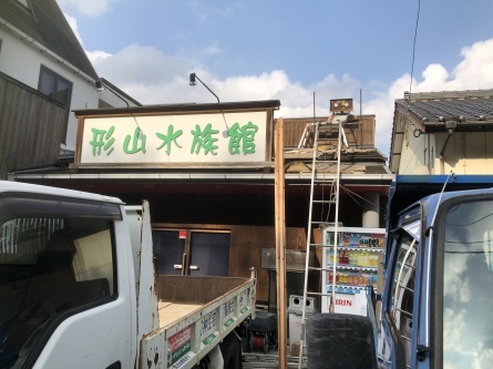 6/29 店長日記_e0173381_16593968.jpg
