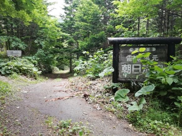 c0212083_14492580.jpg