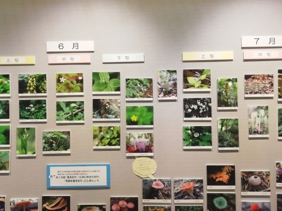 c0212083_14581760.jpg