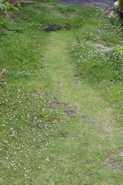 d0154685_20290529.jpg
