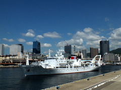 b0192588_874386.jpg