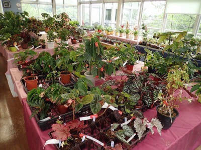 f0203094_14562157.jpg