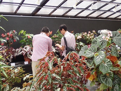f0203094_14591836.jpg