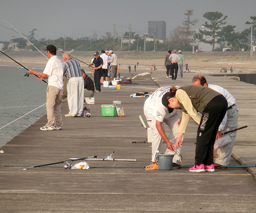 海が賑やか_d0105098_11345118.jpg