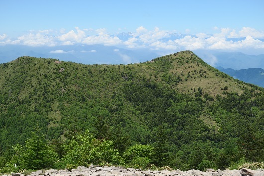 a0158702_20111835.jpg