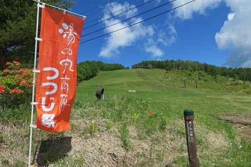 湯ノ丸山～烏帽子岳&仙ヶ滝のカモシカ_a0158702_20114089.jpg