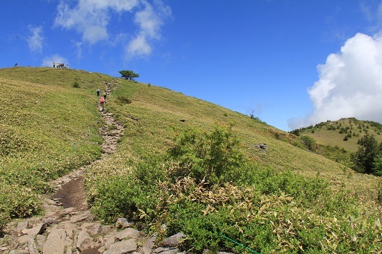 湯ノ丸山～烏帽子岳&仙ヶ滝のカモシカ_a0158702_20132355.jpg