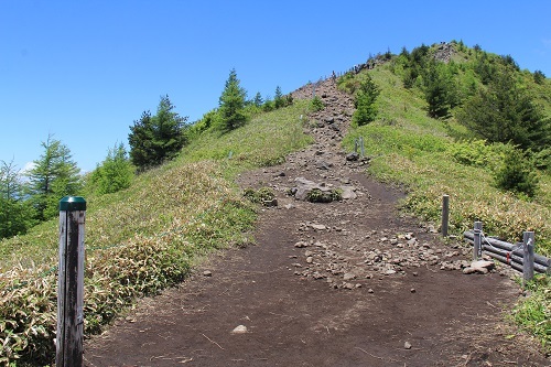 湯ノ丸山～烏帽子岳&仙ヶ滝のカモシカ_a0158702_20142534.jpg