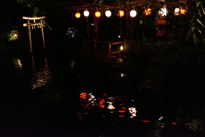 a0169902_22522846.jpg