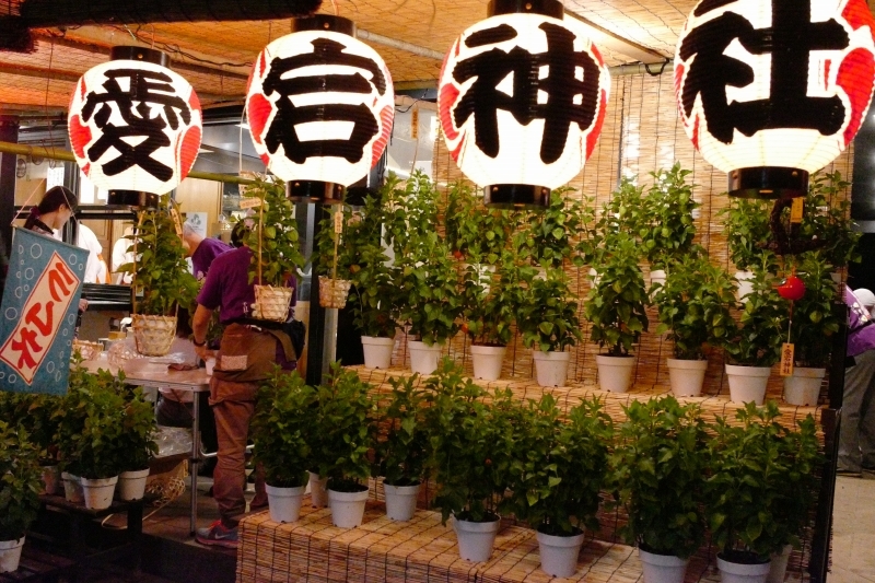 愛宕神社の「千日詣り」と「ほおずき市」_a0169902_22522850.jpg