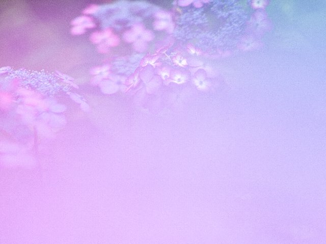 c0008502_1102146.jpg