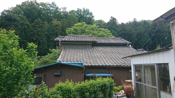 f0147602_14210967.jpg