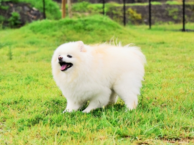 今日も頑張っている_d0360206_00133201.jpg