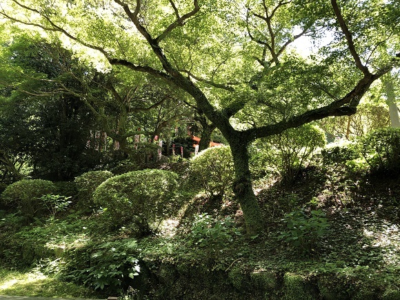 f0364707_07203029.jpg