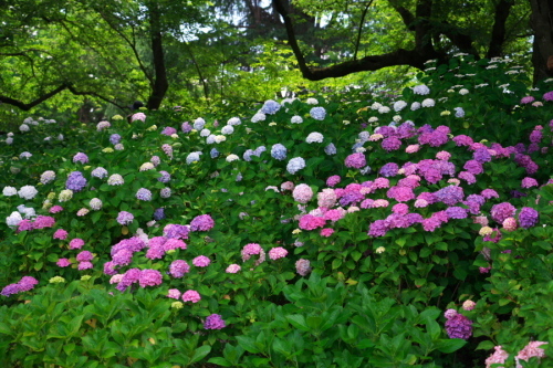 a0263109_14183033.jpg