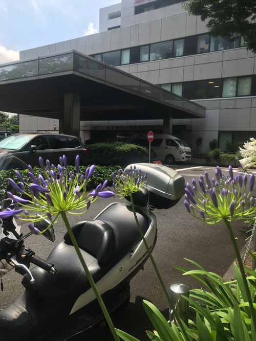 親孝行_a0037910_10010170.jpg