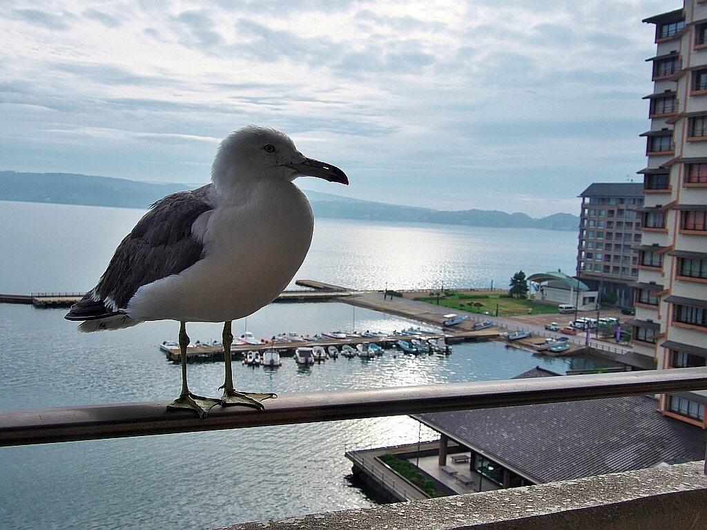 朝風呂から帰ってみると_e0364711_19590152.jpg