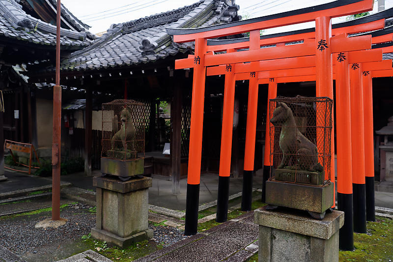 夏越の大祓い@下御霊神社_f0032011_14044514.jpg