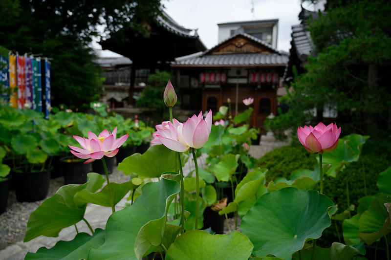 f0032011_15020900.jpg