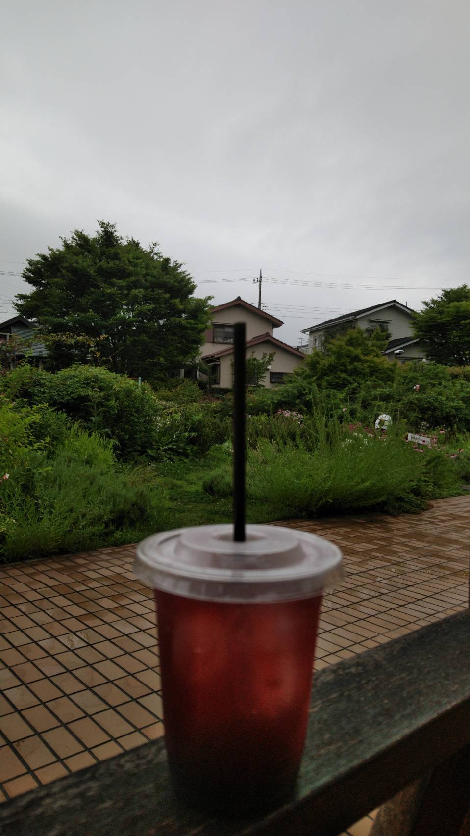 e0239312_21594941.jpeg