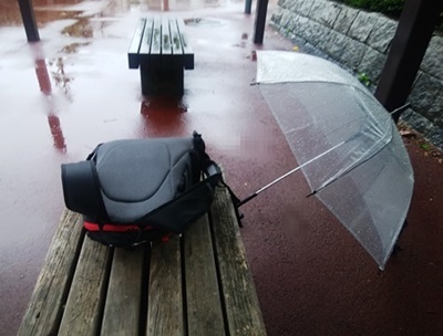 雨の日リハビリ_b0312424_07381250.jpg