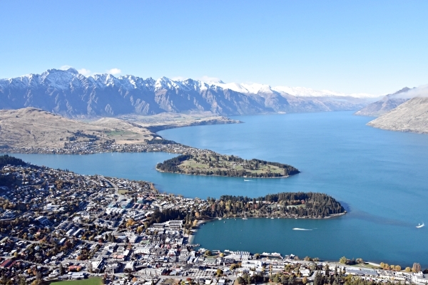 2019春　ニュージーランドの旅6～キウイバードに初対面！_b0312126_23403273.jpg