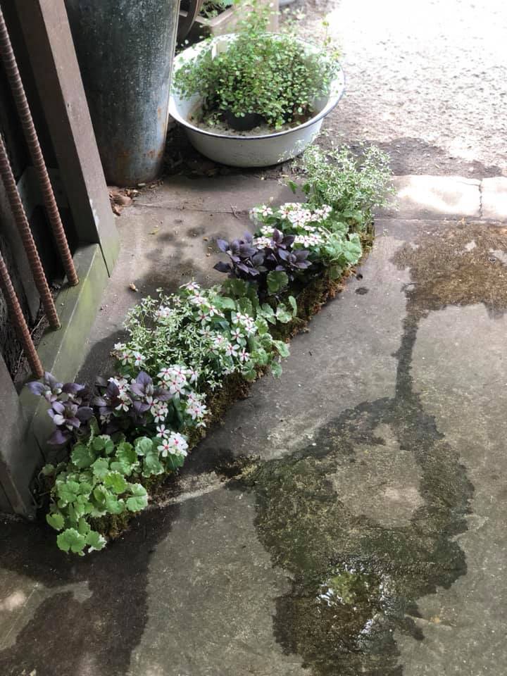 最近の注文品（貯めました）_c0102228_08064060.jpg