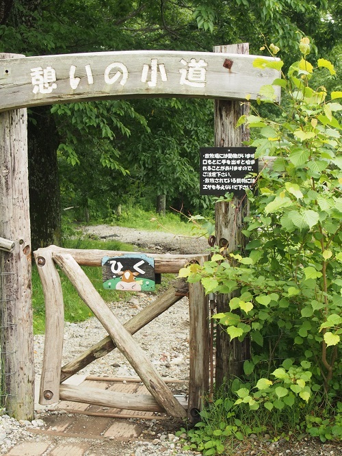 b0368629_14173858.jpg