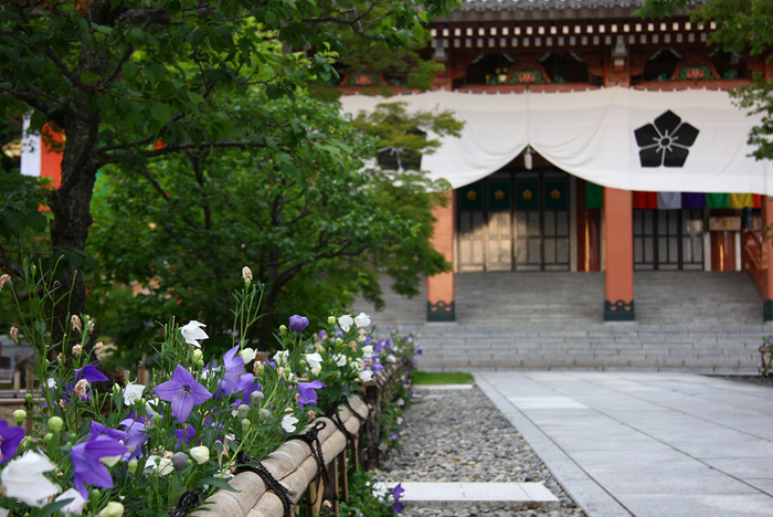 京都回顧 初夏の花咲くお寺－智積院の桔梗－ _b0169330_2026173.jpg