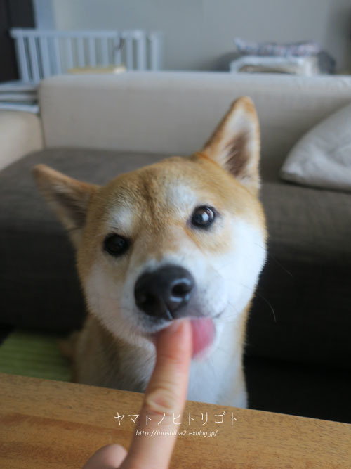 おいしい顔_e0394031_08041459.jpg