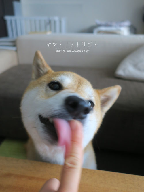 おいしい顔_e0394031_08041626.jpg