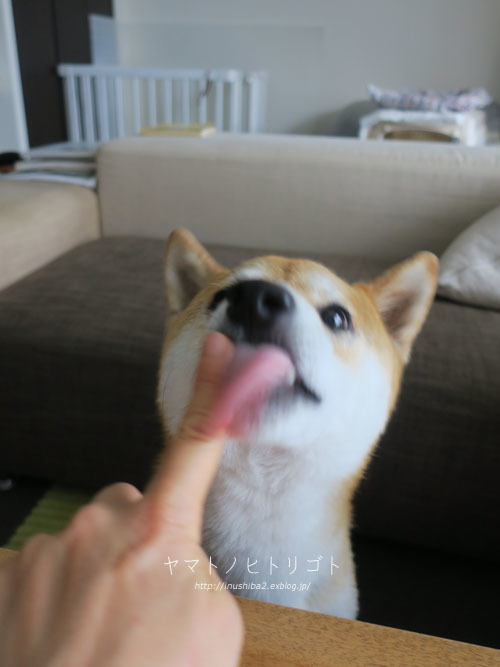 おいしい顔_e0394031_08041994.jpg
