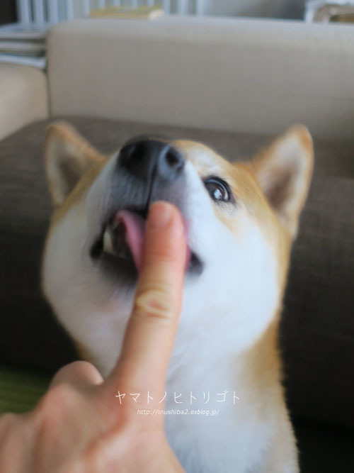 おいしい顔_e0394031_08042138.jpg
