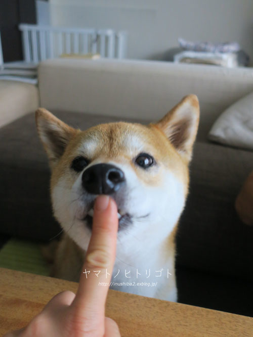 おいしい顔_e0394031_08042480.jpg