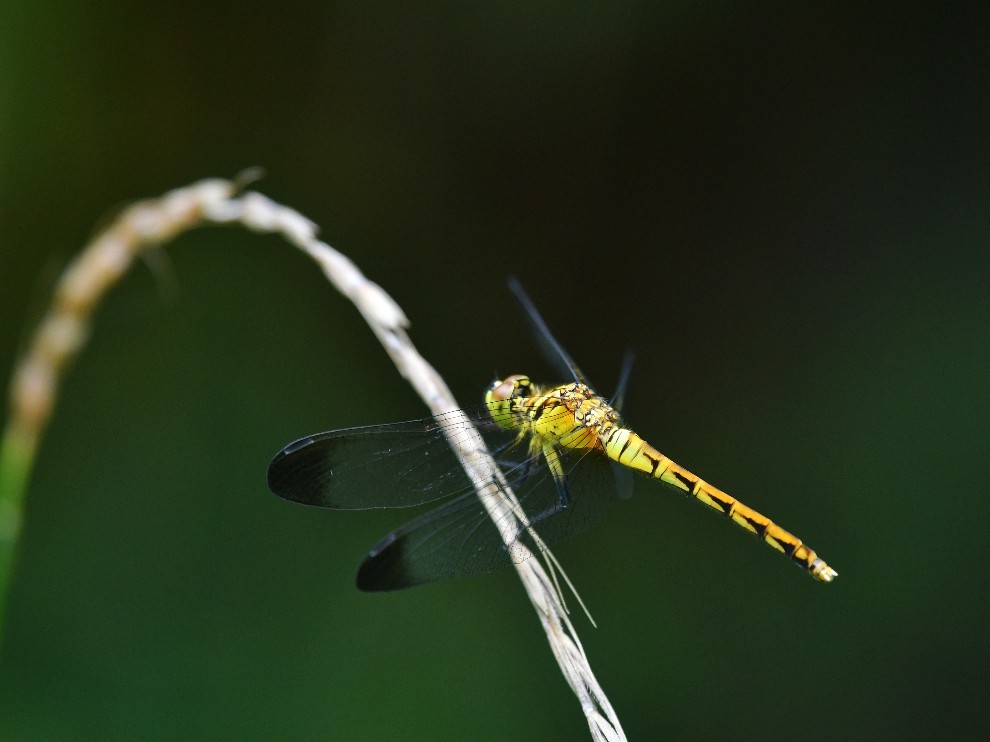 f0340732_20333714.jpg