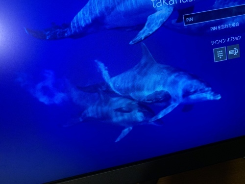 b0330040_08505627.jpeg