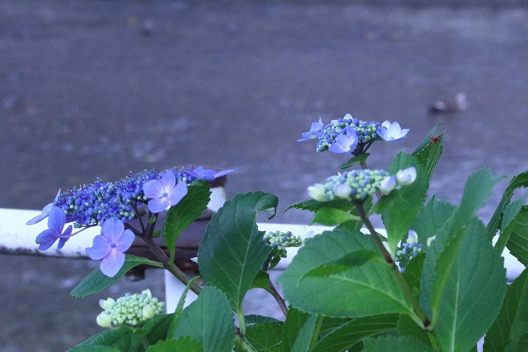 e0403850_00340938.jpg